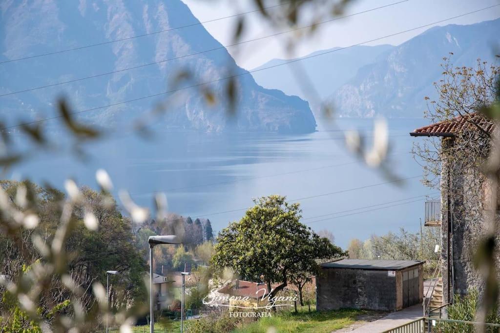 Appartamento Il Giardino Di Laura Costa Volpino Esterno foto